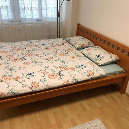 Apartment Sever Hroncova โกชิเซ ภายนอก รูปภาพ